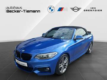 i Cabrio M SPORT/ Top Zustand / Doppelt bereift/ L