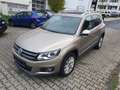 Volkswagen Tiguan Sport Beige - thumbnail 8