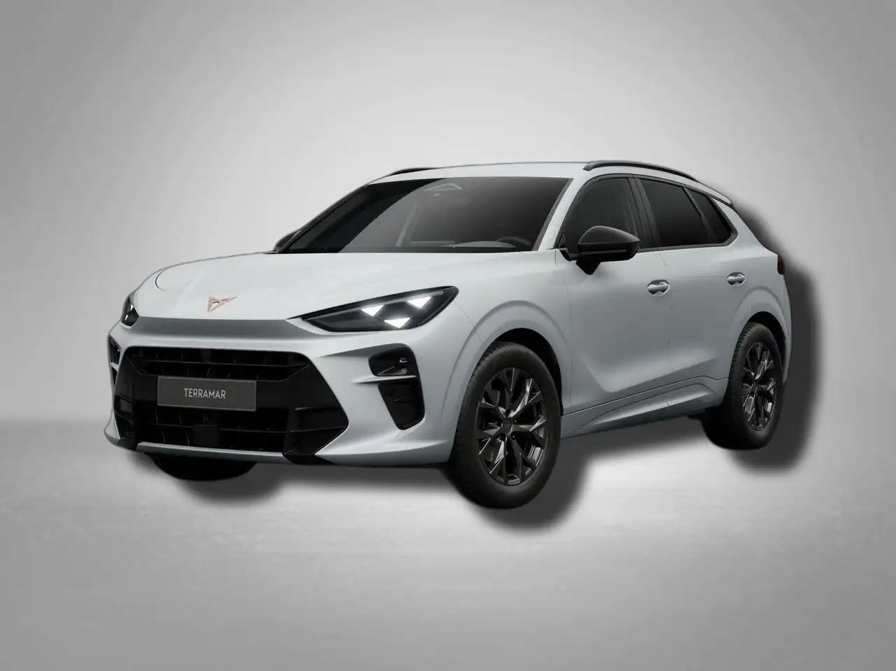 CUPRA Terramar 1.5 TSI DSG AHK|Edge|Dynamic|5JGar