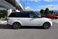 Land Rover Range Rover 3.0 TDV6 Vogue LWB LUNGA Bílá - thumbnail 5
