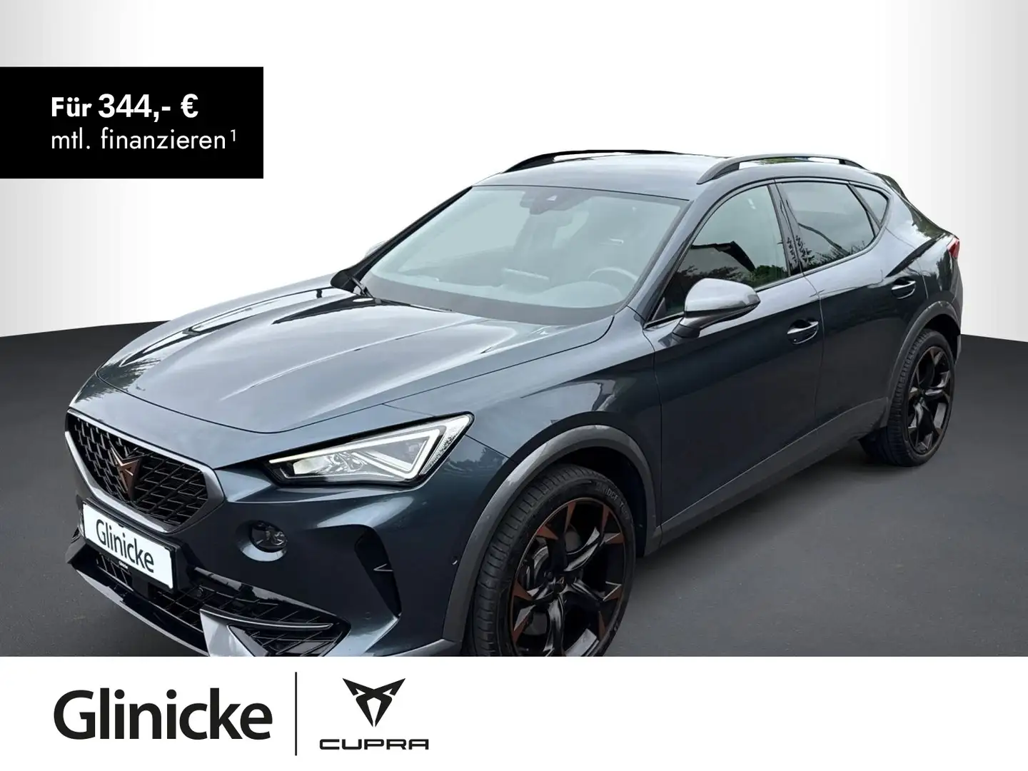 CUPRA Formentor VZ 2.0 TSI 4Drive DSG, NAVI, RFK Grau - 1