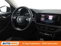 Skoda Kamiq 1.0 TSI Style Grau - thumbnail 13