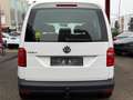 Volkswagen Caddy BMT KLIMA/TEMPOMAT/AHK/USB/S&S Blanco - thumbnail 5