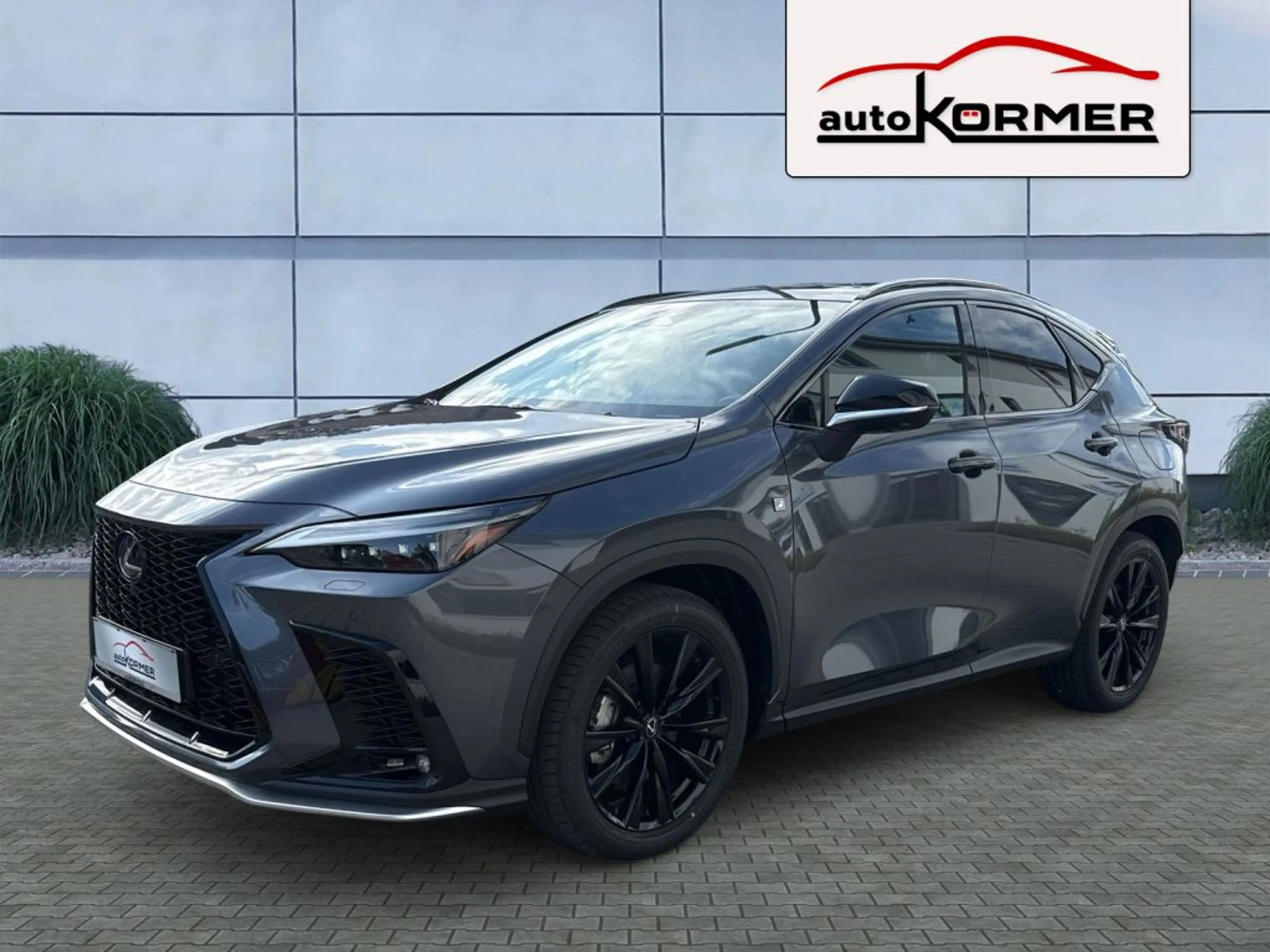 Lexus NX 450h+ E-FOUR F SPORT 360°,HUD,ACC,Totwinkel,sofort — photo 6