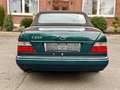 Mercedes-Benz E 220 W124 Cabriolet *Final Edition* *Deutsch* Grün - thumbnail 13
