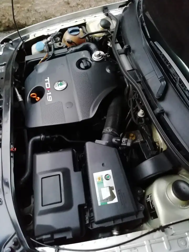 Skoda Octavia 1.9 tdi Elegance 110cv, foto 6