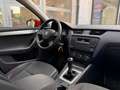 Skoda Octavia 1.6 TDI Combi Ambition/Tempom./1.Hand Rouge - thumbnail 14