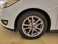 Ford Focus Focus Traveller 1,6 TDCi Trend Trend Weiß - thumbnail 5
