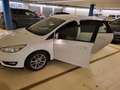 Ford Focus Focus Traveller 1,6 TDCi Trend Trend Weiß - thumbnail 3