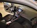Ford Focus Focus Traveller 1,6 TDCi Trend Trend Weiß - thumbnail 8