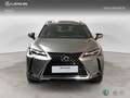Lexus UX 200 SUV PREMIUM 2.0 Híbrido Gasolina Transmisión Aut Grau - thumbnail 5