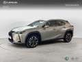 Lexus UX 200 SUV PREMIUM 2.0 Híbrido Gasolina Transmisión Aut Grau - thumbnail 1