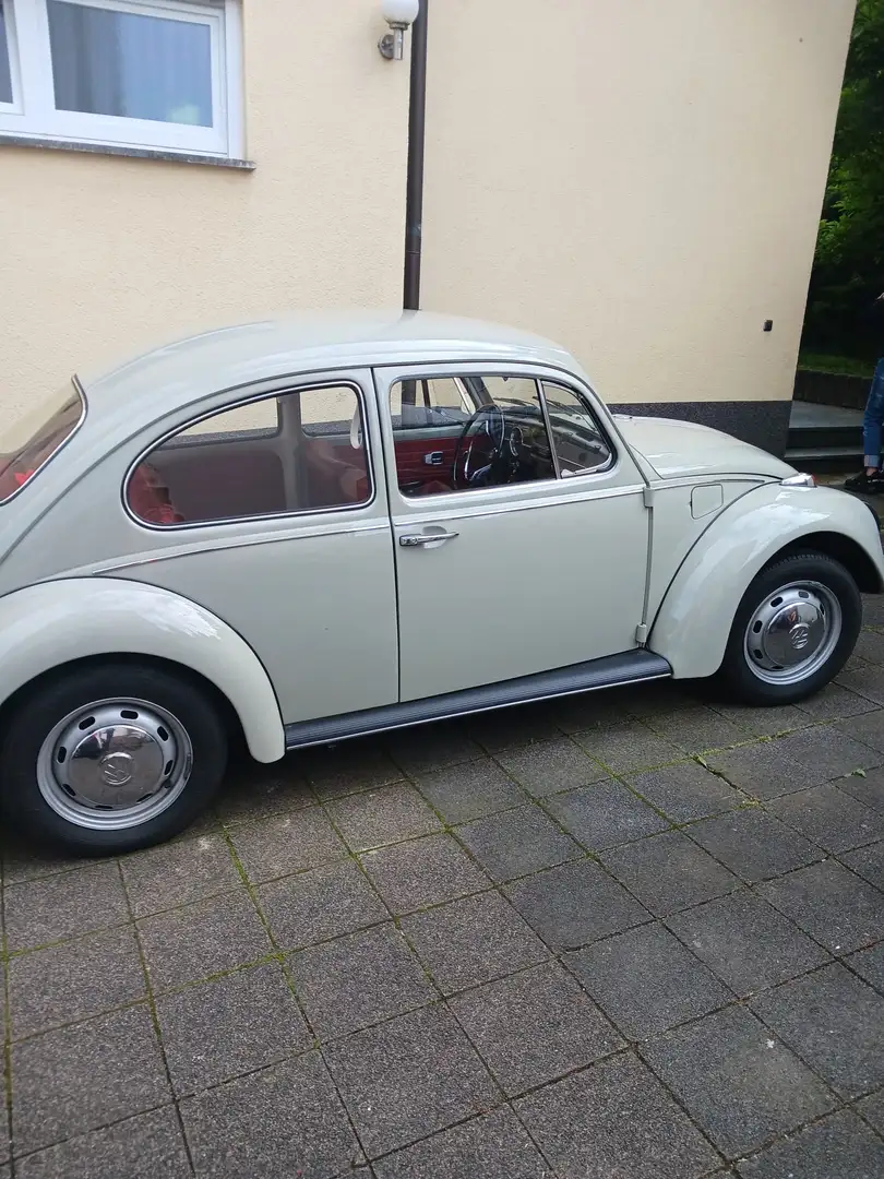 Volkswagen Käfer Oldtimer - 1