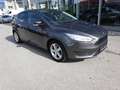 Ford Focus Trend Grau - thumbnail 18