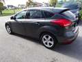Ford Focus Trend Grau - thumbnail 8