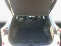 Ford Kuga 2.5 Duratec PHEV ST-LINE X Bianco - thumbnail 9