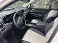Kia Sorento 1.6T Plug-In Hybrid Platinum 4WD Weiß - thumbnail 14