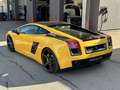 Lamborghini Gallardo SE Aut. Special Edition Nr 134 / 250 Gelb - thumbnail 12