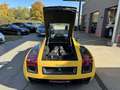 Lamborghini Gallardo SE Aut. Special Edition Nr 134 / 250 Gelb - thumbnail 17
