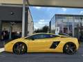 Lamborghini Gallardo SE Aut. Special Edition Nr 134 / 250 Gelb - thumbnail 8