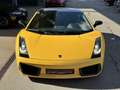 Lamborghini Gallardo SE Aut. Special Edition Nr 134 / 250 Gelb - thumbnail 4