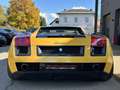 Lamborghini Gallardo SE Aut. Special Edition Nr 134 / 250 Gelb - thumbnail 14