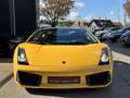 Lamborghini Gallardo SE Aut. Special Edition Nr 134 / 250 Gelb - thumbnail 5
