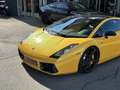 Lamborghini Gallardo SE Aut. Special Edition Nr 134 / 250 Gelb - thumbnail 3