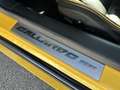 Lamborghini Gallardo SE Aut. Special Edition Nr 134 / 250 Gelb - thumbnail 28