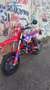 Beta RR 50 Beta RR 50 racing - thumbnail 6