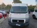 Fiat Ducato ducato Maxi - thumbnail 2