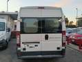 Fiat Ducato ducato Maxi - thumbnail 5