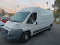 Fiat Ducato ducato Maxi - thumbnail 1