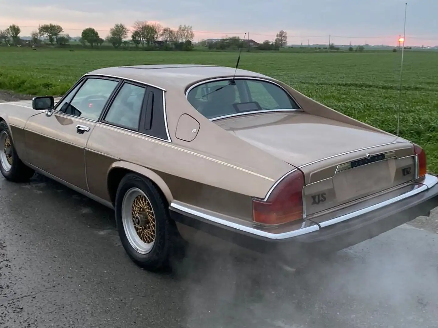 Jaguar XJS XJS V12 Automatik Beige - 2