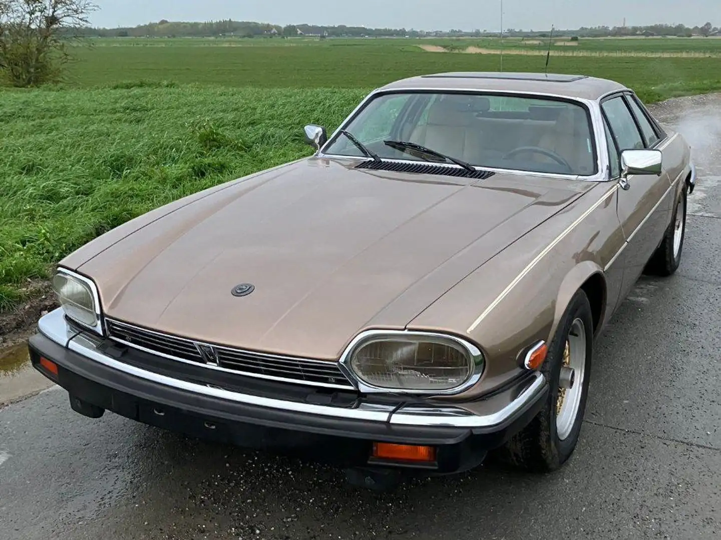 Jaguar XJS XJS V12 Automatik Beige - 1