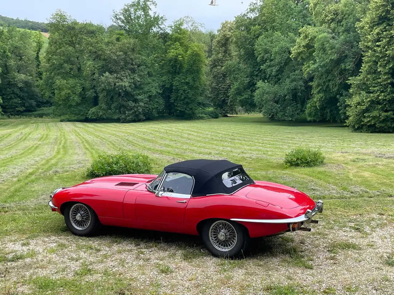 Jaguar E-Type Serie 2, foto 4