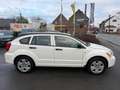 Dodge Caliber Caliber 1.8 SE Weiß - thumbnail 6