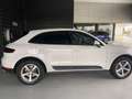 Porsche Macan Blanco - thumbnail 5