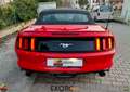 Ford Mustang 2.3 Ecoboost Cabrio CERCHI 20 OMOLOGATI Rouge - thumbnail 5