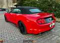 Ford Mustang 2.3 Ecoboost Cabrio CERCHI 20 OMOLOGATI Rouge - thumbnail 4
