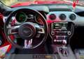 Ford Mustang 2.3 Ecoboost Cabrio CERCHI 20 OMOLOGATI Rosso - thumbnail 11