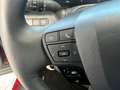 Toyota C-HR Hybrid FWD Team Deutschland 1.8 Navi PDC vorn und Biały - thumbnail 12