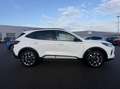 Ford Kuga 2.5 Duratec 180ch Hybrid FlexiFuel Active X Powershift Blanc - thumbnail 4