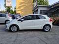 Kia Rio 5p 1.2 CVVT EX *OK NEOPATENTATI * Bianco - thumbnail 13