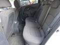 Kia Rio 5p 1.2 CVVT EX *OK NEOPATENTATI * Bianco - thumbnail 8