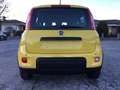 Fiat Panda 1.0 FireFly Hybrid ADAS Pandina NUOVA KM0 IBRIDA Gelb - thumbnail 5