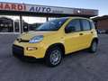 Fiat Panda 1.0 FireFly Hybrid ADAS Pandina NUOVA KM0 IBRIDA Gelb - thumbnail 4