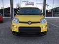 Fiat Panda 1.0 FireFly Hybrid ADAS Pandina NUOVA KM0 IBRIDA Gelb - thumbnail 6