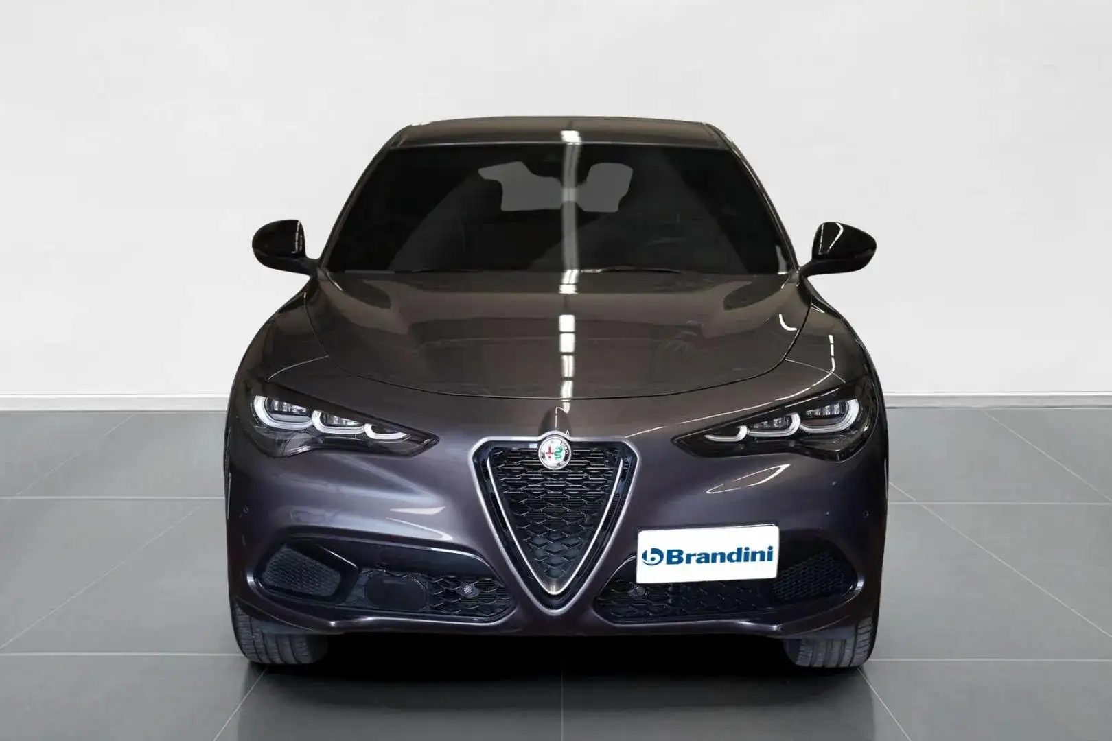 Alfa Romeo Stelvio 2.2 Turbo Super Grijs - 2