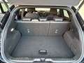 Ford Puma 1.0 EcoBoost Hybrid ST-LINE VIGNALE Schwarz - thumbnail 13